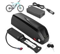 SSCYHT Batería para Bicicleta eléctrica 48 V 20 Ah 17,5 Ah y 13 Ah Batería de Litio 15 Ah Baterías Repuesto para Motor 250 W a 1000 W con Cargador y Puerto USB,S039 3 48v15ah t Plug