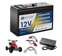 SSCYHT Batería Solar 12 V Batería de Litio 15 Ah Baterías de Ciclo Profundo Baterías Recargables para Sistemas solares, sondas de Pesca Placa protección BMS integrada,12v10ah Charger