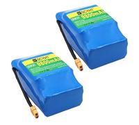 SSCYHT Baterías de Litio 36 V Batería Hoverboard 36 V Batería Recargable 9800 mAh Baterías Iones Litio para Patinete con Puerto XT60 para Kit Motor 150 W a 353 W,36v9800mah 2pack