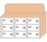 SSDDLZEQ Cajas Fuertes bloqueables montadas de fábrica Transparentes de los armarios de Almacenamiento del teléfono móvil