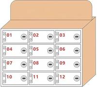 SSDDLZEQ Taquillas Transparentes for Almacenamiento de teléfonos móviles montadas en la Pared: una solución Segura y cómoda