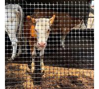 SSDDLZEQ Valla de jardín, Barrera for Animales, Malla de plástico Negra, Resistente, Valla de Seguridad for Mascotas al Aire Libre, for Ciervos, Pollos, Nieve, Perros y Conejos(1x50m/3.3x164ft)