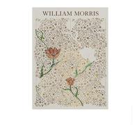 SSLDP LFHLI Póster de flores del jardín William Morris Pintura floral botánica de lienzo Arte mural y grabados de William Morris para decoración del hogar 50x70cm Sin marco