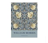 SSLDP LFHLI Póster de flores del jardín William Morris Pintura floral botánica de lienzo Arte mural y grabados de William Morris para decoración del hogar 50x70cm Sin marco