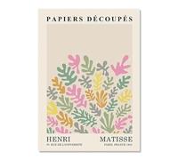 SSLDP LFHLI Póster retro de Henri Matisse Pintura de pared de hojas coloridas Pintura e impresiones de lienzo de Henri Matisse Imagen de decoración moderna del hogar 50x70cmx1 Sin marco