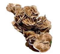 SSOPTMCB 1 racimo de Piedras Preciosas Cristal Rosa del Desierto selenita 410-500 g for decoración Habitaciones y oficinas Gemstone Stone