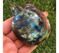 SSOPTMCB 1PCS Labradorite Quartz Crystal Tortoise Skull Hand Carved Home Decor Gemstone Stone