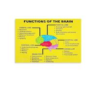 SSOPTMCB Anatomy of the Brain Canvas Art, Functional Regions Poster, Stylish Educational Decor for Psychology Students, Therapists & Home(Unframed,08x12inch(20x30cm))