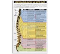 SSOPTMCB Anatomy of the Spine Canvas Print, Colorful Nerve System Diagram, Physical or Classroom Inspiration Art (Unframed,12x18inch(30x45cm))