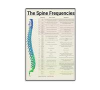 SSOPTMCB Anatomy Wall-Art Spine and Frequencies Poster Science Decor Canvas Print Conceptual Chart for Room Living Room Decor(Framed,16X24inch(40X60cm))