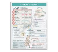 SSOPTMCB APGAR Score and Neonatal Assessment Guide Educational Poster for Healthcare Professionals Pediatric Office Training(Unframed,12x18inch(30x45cm))
