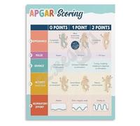 SSOPTMCB APGAR Score and Neonatal Resuscitation Reference Guide Poster for Healthcare Professionals Pediatric Office Education Wall-Art(Unframed,12x18inch(30x45cm))