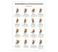 SSOPTMCB Balance and Posture Exercise Poster Seated Chair Workout Illustrated Chart for Gentle Senior Fitness Home Gym Wall-Art Caregiver Resource Guide(Framed,12x18inch(30x45cm))