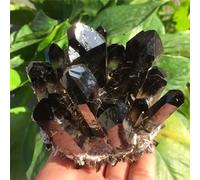 SSOPTMCB Beautiful Black Halo Flame Quartz Crystal Cluster Stone Home Office Aquarium Decoration (Size : 280-350g) Gemstone Stone