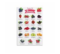 SSOPTMCB Berry Varieties Chart Poster, Edible Berries Guide Canvas Wall-Art Print for Kitchen Decor, Farmers Market, Cooking Class, Gift(Framed,08x12inch(20x30cm))