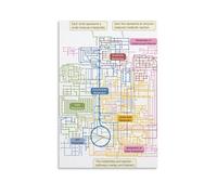 SSOPTMCB Biochemistry Chart Poster Detailed Map of Human Metabolic Pathways Science Education Diagram Wall-Art for Study Room Clinic(Unframed,12x18inch(30x45cm))