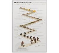 SSOPTMCB Biology Classroom Poster - Human Evolution Timeline, From Protocells to People Wall-Art, Educational Print for School(Unframed,12x18inch(30x45cm))