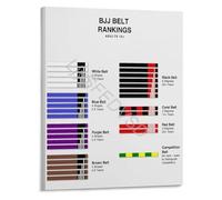 SSOPTMCB BJJ Belt Order Rank Progression Color Chart Educational Poster Brazilian Jiu-Jitsu Grappling Wall-Art for Dojo Gym Home(Framed,16x24inch(40x60cm))