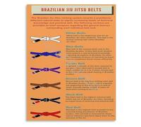 SSOPTMCB BJJ Belt Rank Progression Guide Brazilian Jiu-Jitsu Reference Poster Educational Martial Arts Wall-Art for Dojo Home(Unframed,16x24inch(40x60cm))