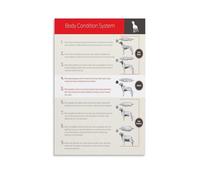 SSOPTMCB Body Condition Score BCS Chart for All Animals Veterinary Reference Poster Farm and Pet Clinic Wall-Art Health Monitoring Guide(Unframed,12x18inch(30x45cm))