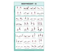 SSOPTMCB Bodyweight Exercise for Home Gym: Laminated Workout Chart with Upper, Core, Lower Body & Cardio Routines - No Equipment Needed for Men & Women(Unframed,16x24inch(40x60cm))