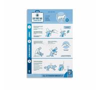 SSOPTMCB Cat Emergency Response Steps Poster Canvas Wall Decor Pet First Aid Chart for Cat Lover Living Room Study Room Hallway(Unframed,12x18inch(30x45cm))