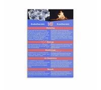 SSOPTMCB Chemistry Educational Poster Endothermic Exothermic Reactions Comparison Chart Canvas Wall-Art Decor(Unframed,16x24inch(40x60cm))