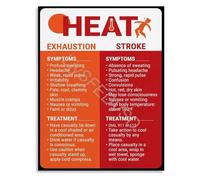 SSOPTMCB Comparative Infographic Poster on Heat Exhaustion and Heat Stroke Chart for Wall Decor Educational(Framed,12x18inch(30x45cm))