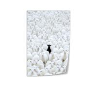 SSOPTMCB Contrast Sheep Wall-Art, Black and White Animal Painting on Canvas, Minimalist Print for Bedroom Aesthetic, Home Office and Living Room Decor(Unframed,12x18inch(30x45cm))