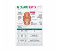 SSOPTMCB Cranial Nerves Study Guide Anatomy Reference Chart Wall-Art for College Dorm Library Decor(Unframed,12x18inch(30x45cm))