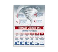SSOPTMCB Disasters Infographic Tornado and Hurricane Guide Poster Canvas Wall-Art for Study Decor(Framed,08x12inch(20x30cm))