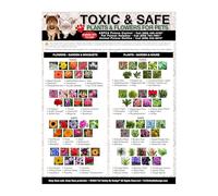 SSOPTMCB Dog Cat Poster - Toxic & Safe Plants Chart, Guide to Poisonous Flowers for Pets, Pet Owner Essential, Home or Vet Clinic Wall Decor(Framed,16x24inch(40x60cm))