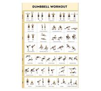 SSOPTMCB Dumbbell Only Workout Guide - No Equipment Exercise Poster Chart for Home Gym, Full Body Fitness Training Routine(Framed,12x18inch(30x45cm))