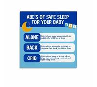 SSOPTMCB Essential Newborn Guide Poster Canvas Wall-Art for Parents Nursery Home Decor Gift(Framed,08X12inch(20X30cm))
