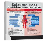 SSOPTMCB Extreme Heat Exhaustion Vs Heat Stroke City Guide Poster Educational Infographic for Public Workplace Awareness Canvas Print(Unframed,08x12inch(20x30cm))