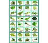SSOPTMCB For Kitchen and Classroom Healthy Vegetable Identification Poster Nutrition Guide Chart Home Decor Meal Planning Educational Art(Unframed,12x18inch(30x45cm))