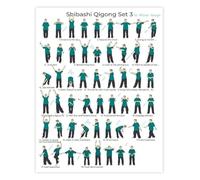 SSOPTMCB Gentle Qigong Flow Poster 18 Movements Exercise Chart Chinese Mind Body Practice Canvas Wall-Art Decor(Unframed,12x18inch(30x45cm))