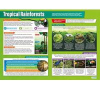 SSOPTMCB Geography Classroom Decor Poster: Tropical Rainforest Biome with Facts on Biodiversity & Conservation, Educational Wall Chart for School, Study Room (Framed,12x18inch(30x45cm))