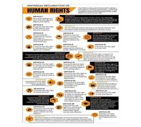 SSOPTMCB Gift for Activist & Teacher - Declaration of Human Rights Poster, Inspirational Canvas Wall-Art for Office(Framed,08x12inch(20x30cm))