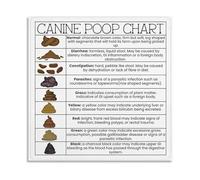 SSOPTMCB Holistic Dog Care Poster Canine Stool and Digestion Health Chart Educational Reference Canvas Wall-Art(Unframed,12x18inch(30x45cm))