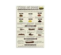 SSOPTMCB Humorous Bristol Stool Chart - Themed Canvas Print for Bathroom Living Room Conversation Starting Wall Decor(Framed,16x24inch(40x60cm))