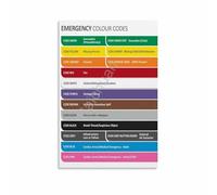 SSOPTMCB Industrial Color Code Chart Emergency Response Guide Wall-Art for Control Room Office Decor(Framed,16x24inch(40x60cm))