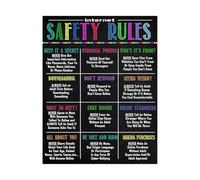 SSOPTMCB Internet Rules for Students Poster - Cybersecurity Chart for Computer and STEM Classroom Decor(Framed,12x18inch(30x45cm))