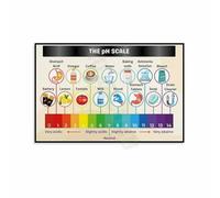 SSOPTMCB Laboratory or Study Decor - The pH Scale Educational Knowledge Poster Canvas Art Wall Print(Unframed,08x12inch(20x30cm))