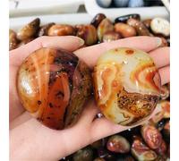 SSOPTMCB Madagascar Brown Agate Crystal Tumbled Stone Ornaments Home Decor(1pc) Gemstone Stone