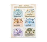 SSOPTMCB Neurotransmitters Brain Chemistry Canvas Wall-Art Educational Science Poster for Classroom Psychology Office Decor(Framed,12x18inch(30x45cm))