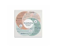 SSOPTMCB Nurturing Love Nursing Chart - Heartfelt Breastfeeding Infographic Wall-Art, Educational Decor Print for Nursery and Parenting Space(Unframed,08x12inch(20x30cm))