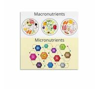 SSOPTMCB Nutrition Chart Poster Macronutrients Food Guide Healthy Eating Reference for Meal Planning Wall-Art Kitchen Home Gym(Unframed,12x18inch(30x45cm))