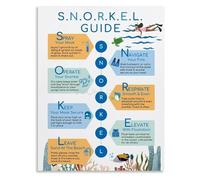 SSOPTMCB Ocean Snorkeling Guide Canvas Wall-Art Diver Knowledge Poster for Bedroom Living Room Decor(Unframed,08x12inch(20x30cm))