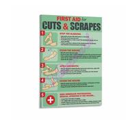 SSOPTMCB Outdoor First Aid Poster Handling Minor Cuts and Scrapes Canvas Artwork for Camping Hiking Cabin Decor(Framed,16x24inch(40x60cm))